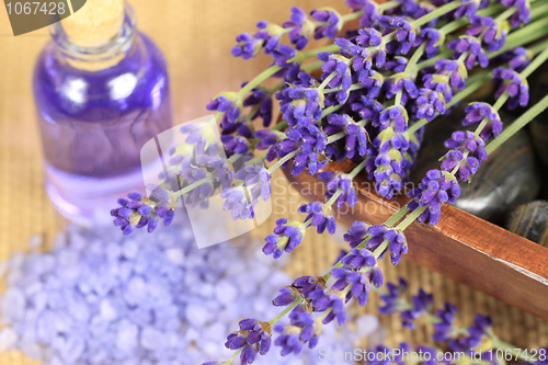 Image of Lavender spa