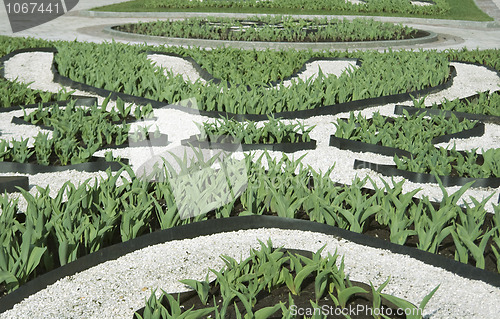Image of Ornamental flower-bed