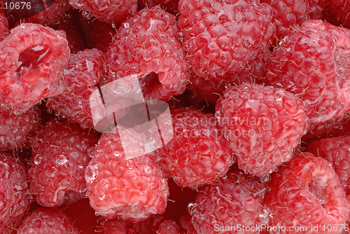 Image of A high resolution macro of freshly washed raspberry fruit. (12MP camera)