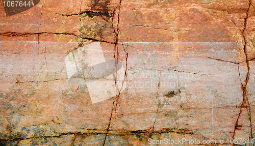 Image of Cracked surface of a rock