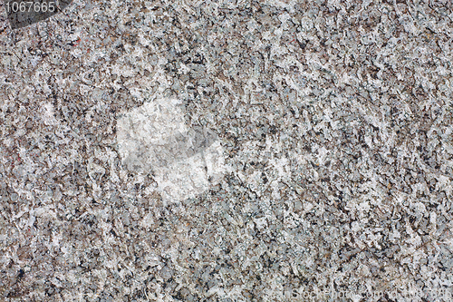 Image of Rough surface of a rock