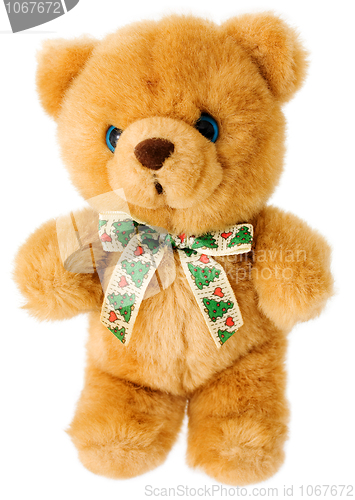 Image of Brown bear teddy 