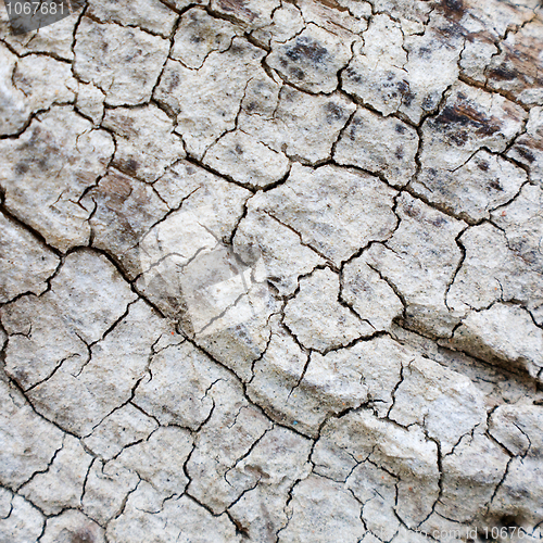 Image of The grey cracked surface