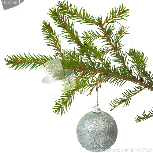 Image of Cristmas-tree ball