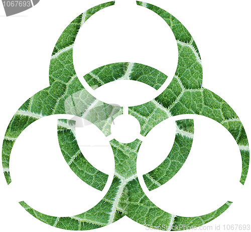 Image of Foliage biohazard