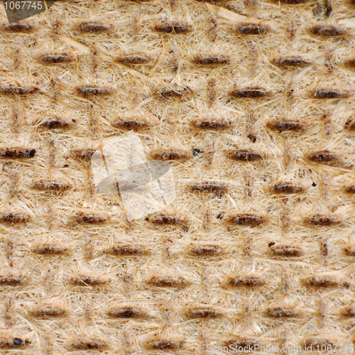 Image of Brown panel