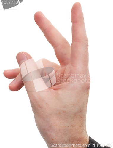 Image of Hand showing a rabbit