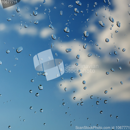 Image of Water droplets