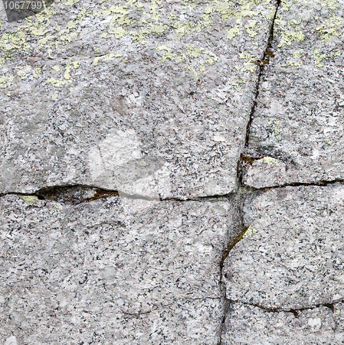 Image of Surface of a rock