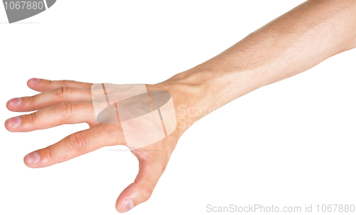 Image of Hand on a white