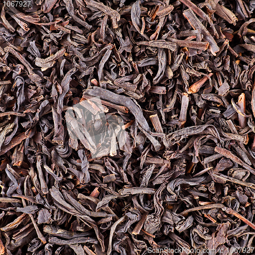 Image of Dry black tea leaves