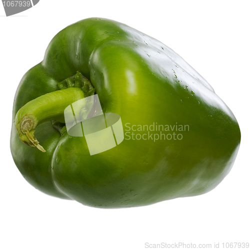 Image of Sweet bell green paprica