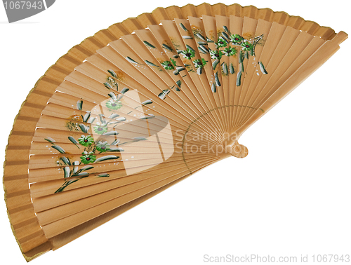Image of Fan