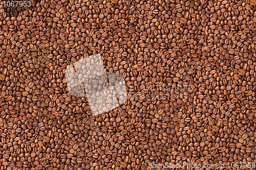 Image of Coffee beans texture