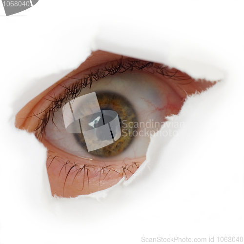 Image of Eye