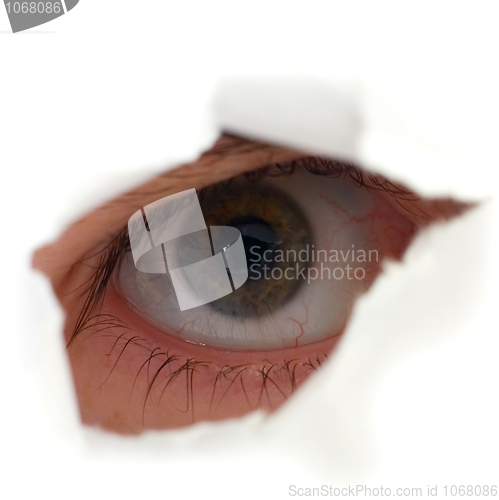 Image of Eye