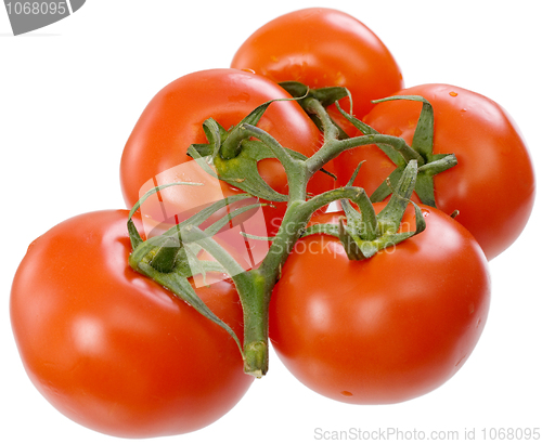 Image of Red tomato