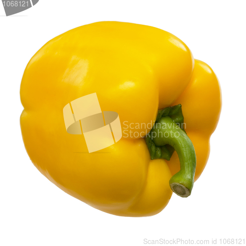 Image of Sweet bell yellow paprica