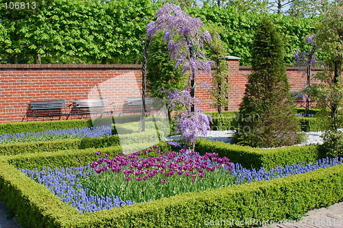 Image of garden