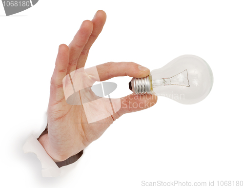 Image of Male hand holding bulb