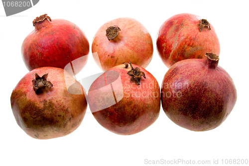 Image of Red pomegranate 