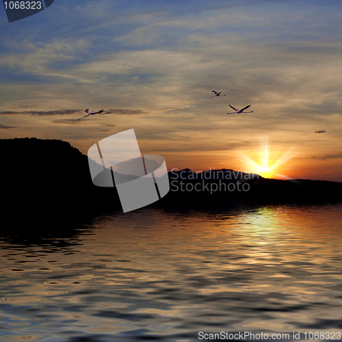 Image of Flamingos flying
