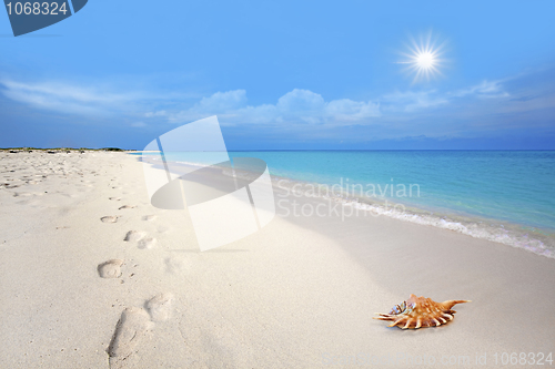 Image of Boca Grandi beach