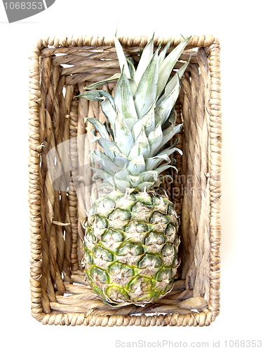 Image of Pineapple