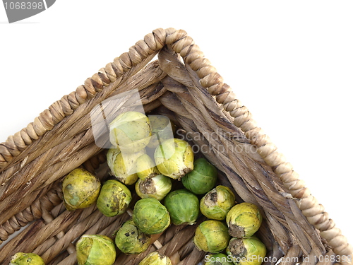 Image of Brussels Sprout