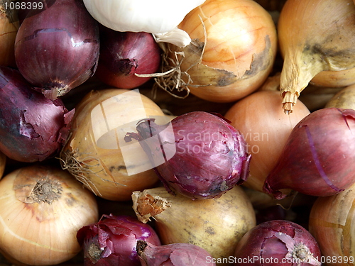 Image of Onions