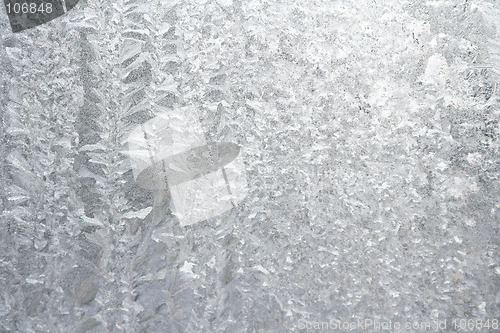 Image of Winter glass
