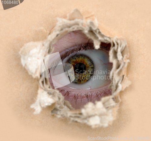 Image of Eye look out from hole