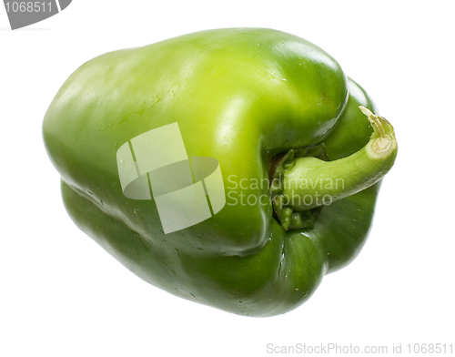 Image of The green sweet pepper 