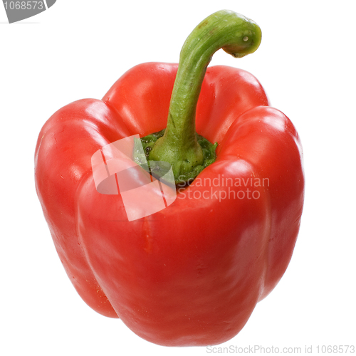 Image of Red sweet pepper 