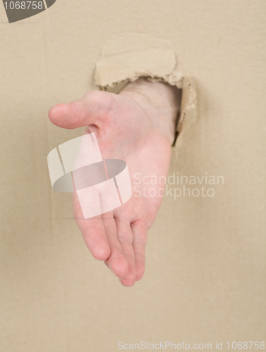 Image of Male hand throug in cardboard