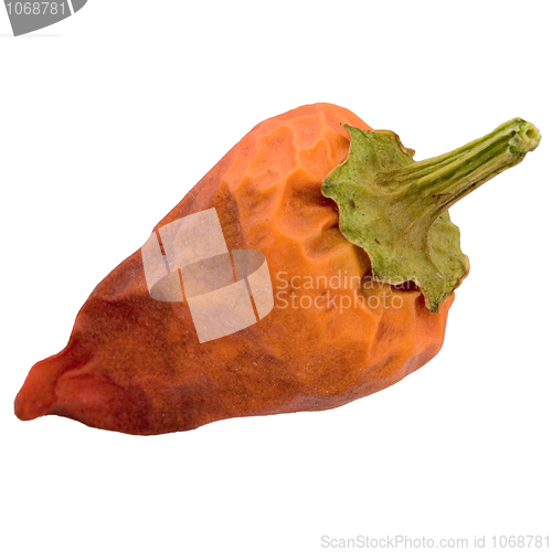Image of Red pepper on a white