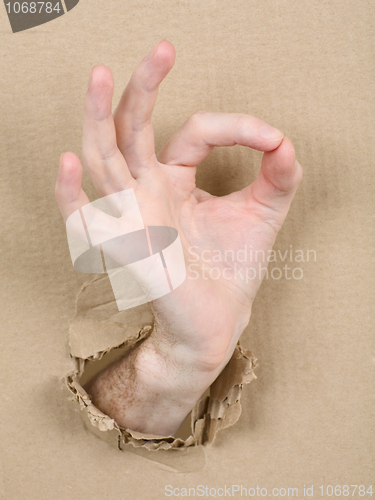 Image of Gesture male hand through cardboard