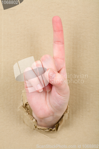 Image of Gesture female hand through cardboard