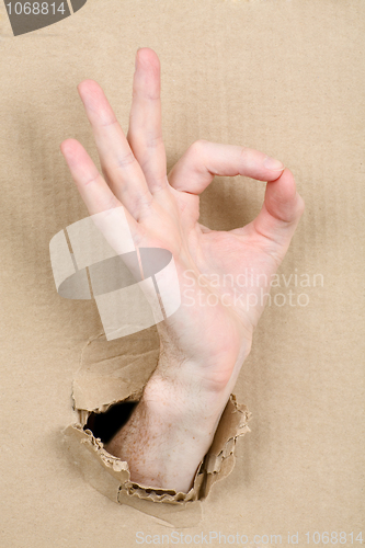 Image of Gesture male hand through cardboard