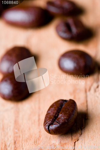 Image of fried coffee beans