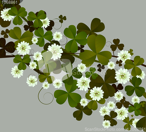 Image of Clover