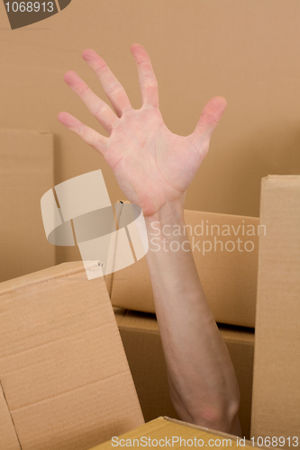 Image of Hand in pile box