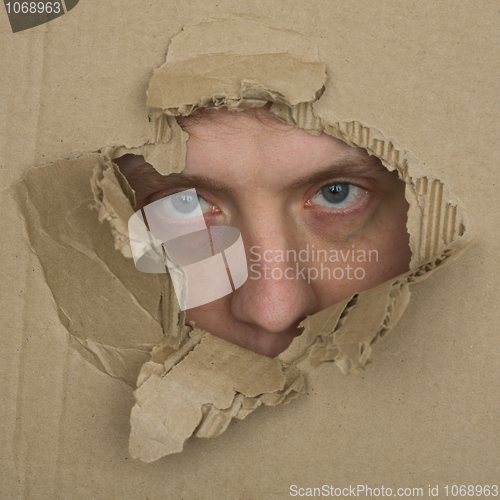 Image of Male face look up from hole in carton