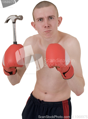 Image of Boxer and hammer