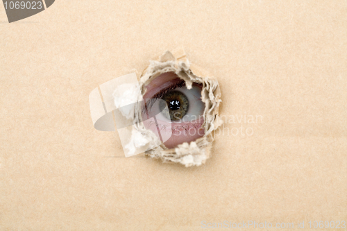 Image of Eye