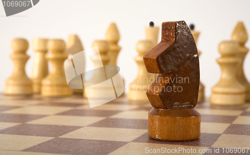 Image of Chess knight