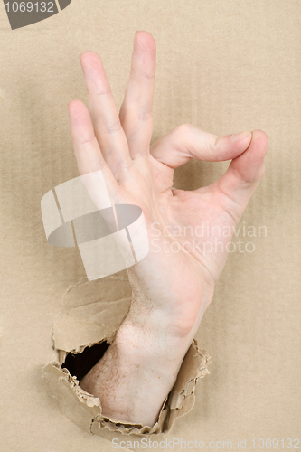 Image of Gesture male hand through cardboard