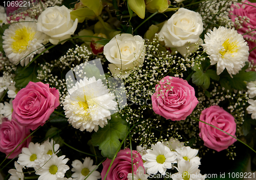 Image of Chrysanthemums, asters and roses