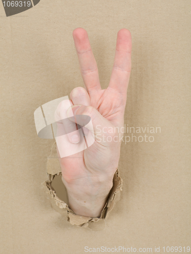Image of Gesture male hand through cardboard