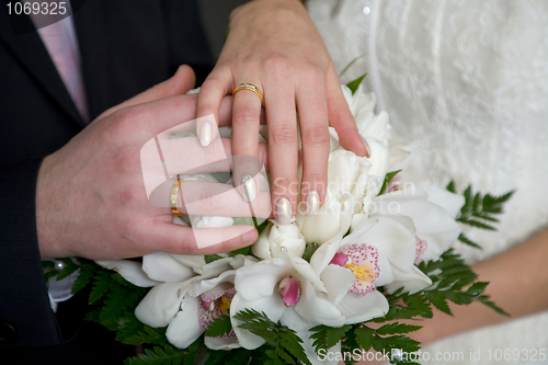 Image of Hands with wedding rings